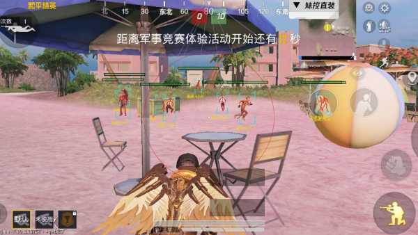 玩家心声：我为何选择或抵制和平精英辅助软件